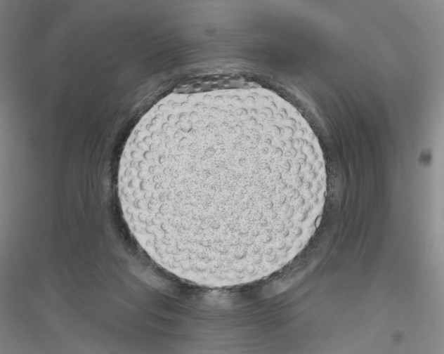 X0000116810261201001291607