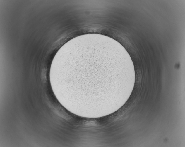 X0000116810262201001291607