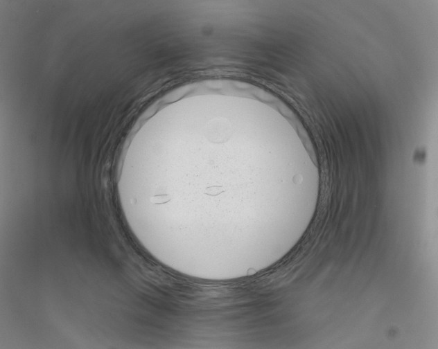 X0000116810263201001291607
