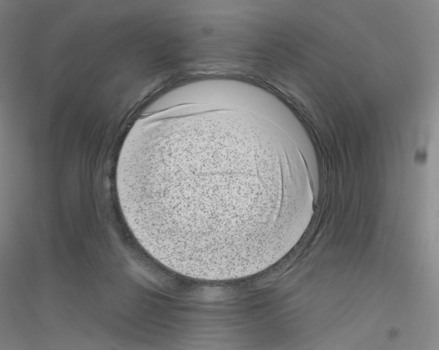 X0000116810264201001291607