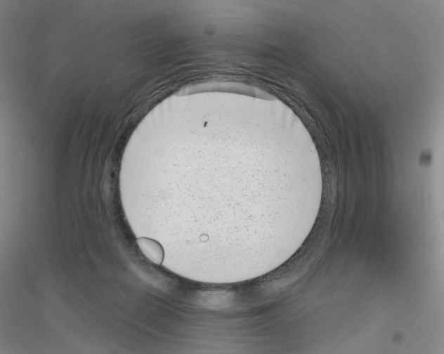 X0000116810266201001291607
