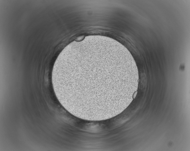 X0000116810267201001291607