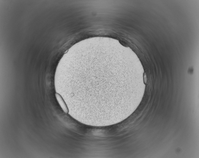 X0000116810268201001291607
