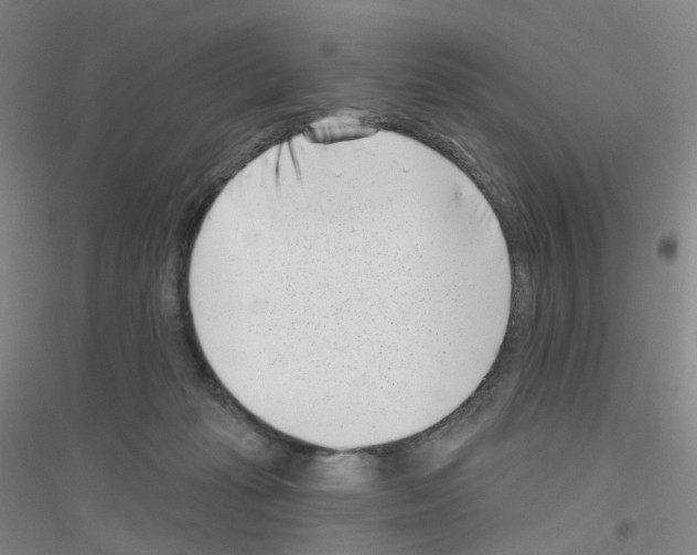 X0000116810269201001291607