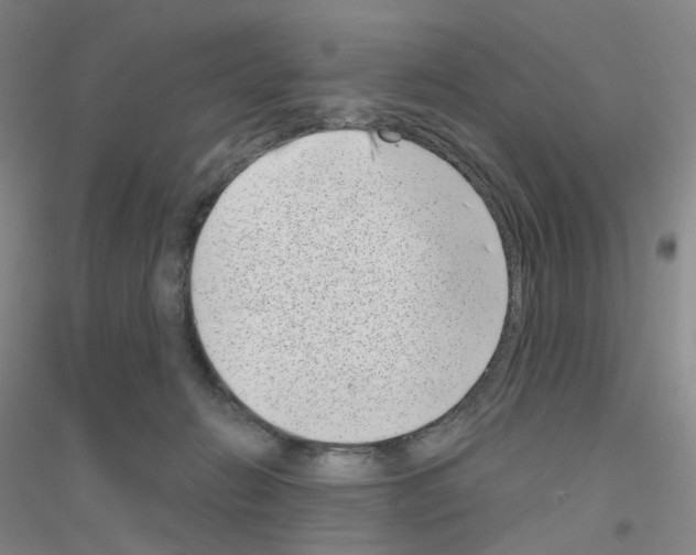 X0000116810270201001291607
