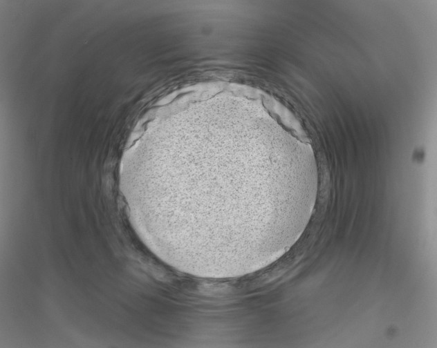 X0000116810271201001291607