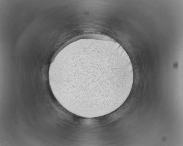 X0000116810273201001291607