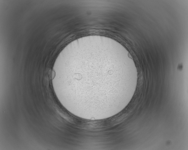 X0000116810275201001291607