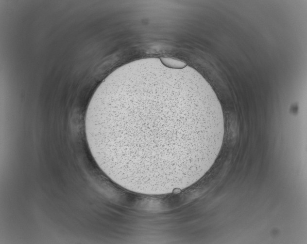 X0000116810276201001291607