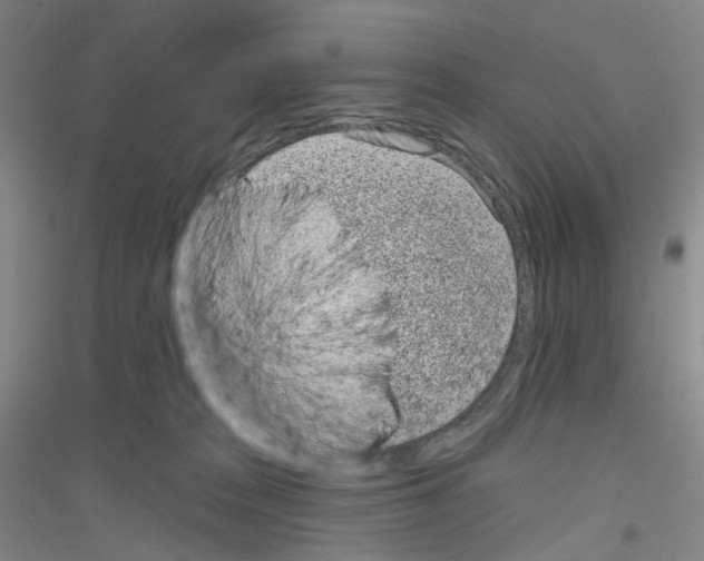X0000116810277201001291607
