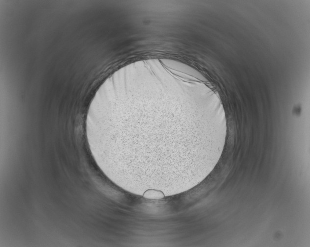 X0000116810278201001291607