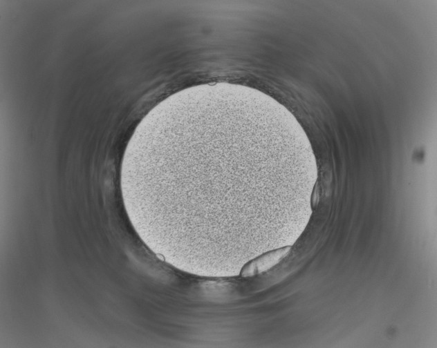 X0000116810279201001291607