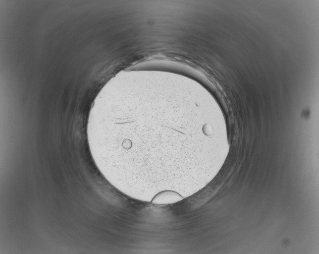 X0000116810280201001291607