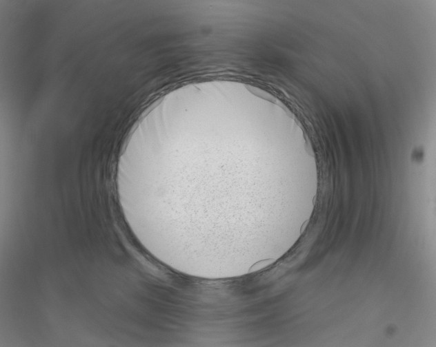 X0000116810281201001291607