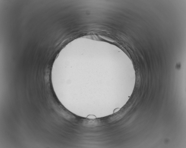 X0000116810282201001291607