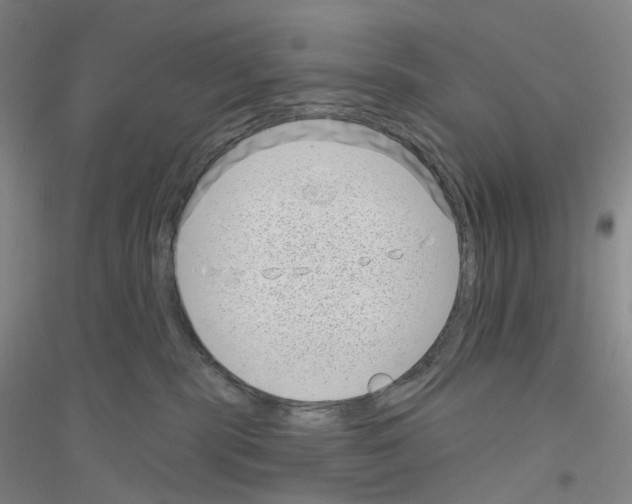 X0000116810283201001291607