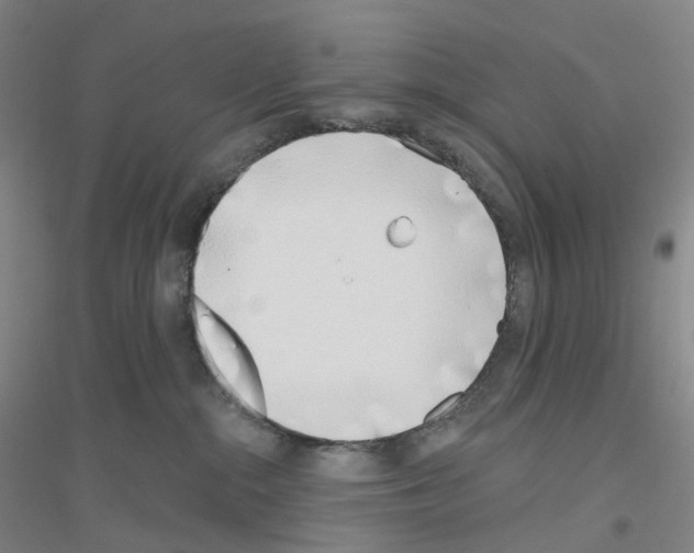X0000116810284201001291607