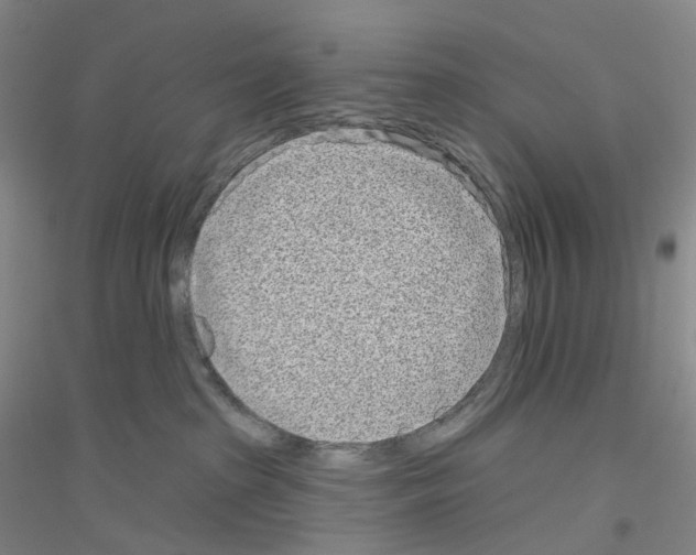 X0000116810285201001291607