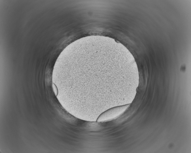 X0000116810287201001291608