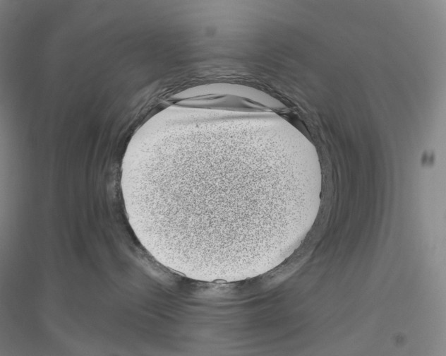 X0000116810288201001291608