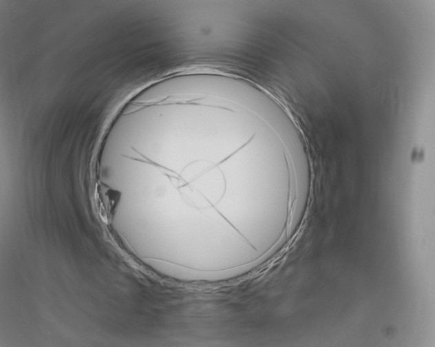 X0000116810289201001291607