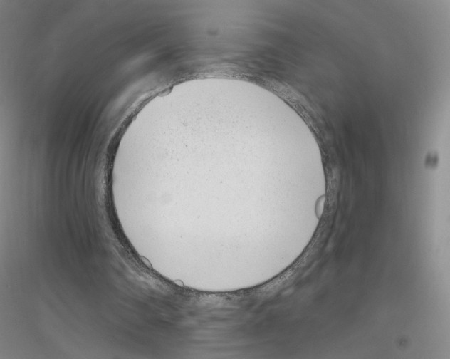 X0000116810290201001291607