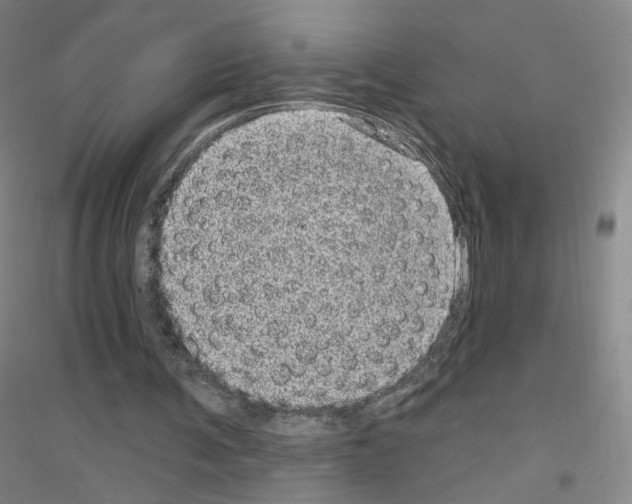 X0000116810291201001291607