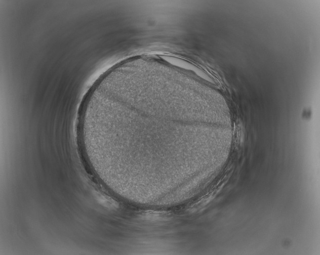 X0000116810292201001291607
