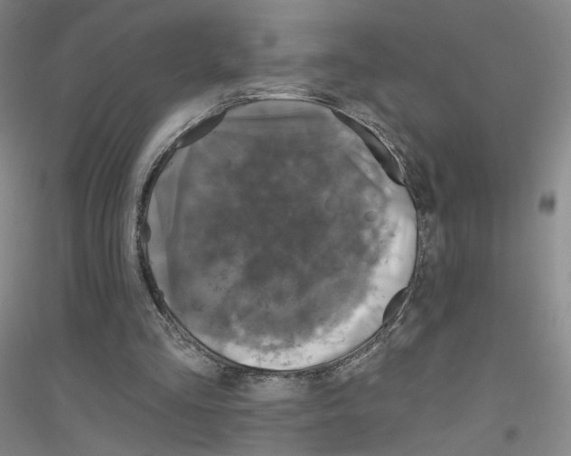 X0000116810293201001291607