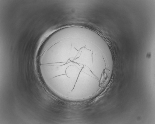 X0000116810294201001291607