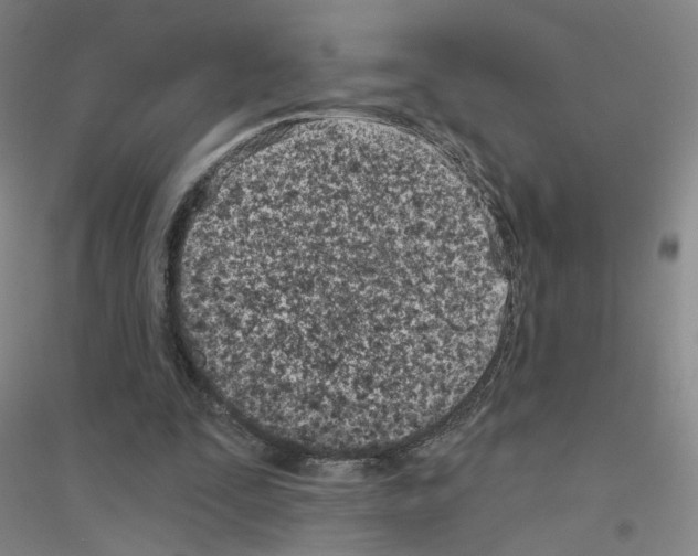 X0000116810295201001291607
