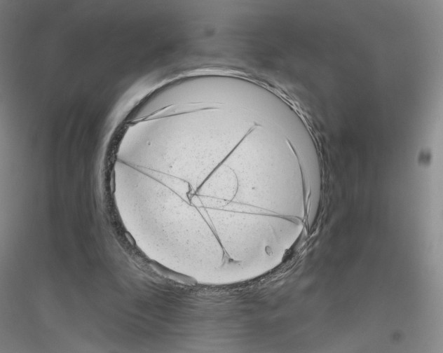 X0000116810296201001291607