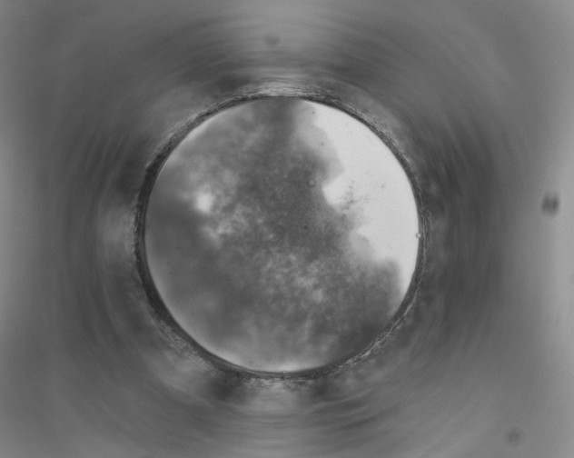 X0000116810297201001291607