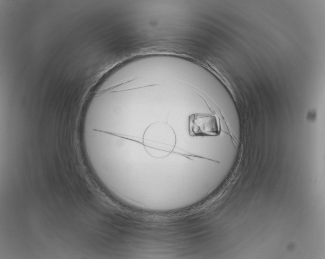X0000116810301201001291607