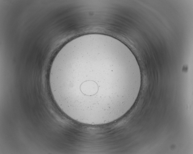 X0000116810302201001291607