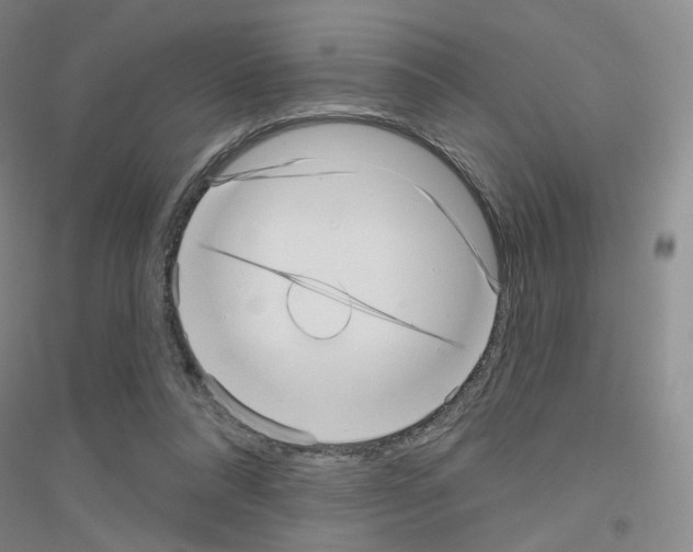 X0000116810304201001291607