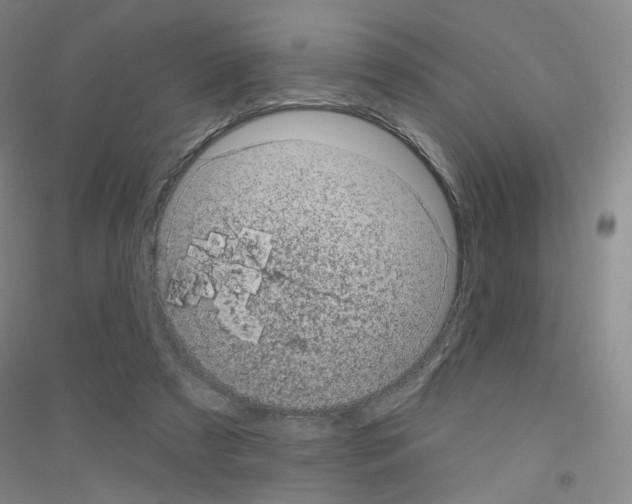 X0000116810305201001291607