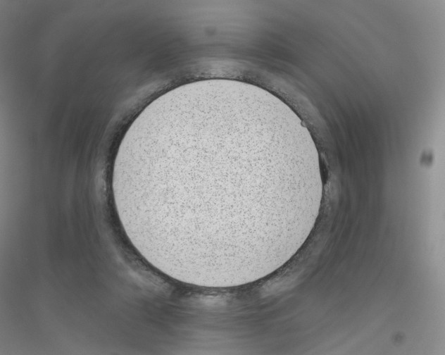 X0000116810306201001291607