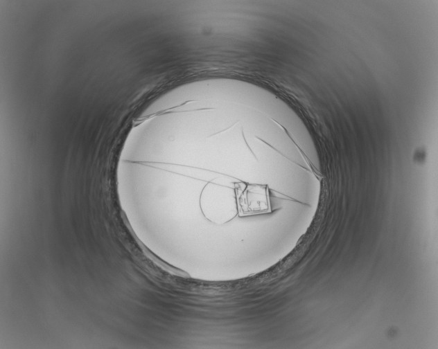 X0000116810308201001291607