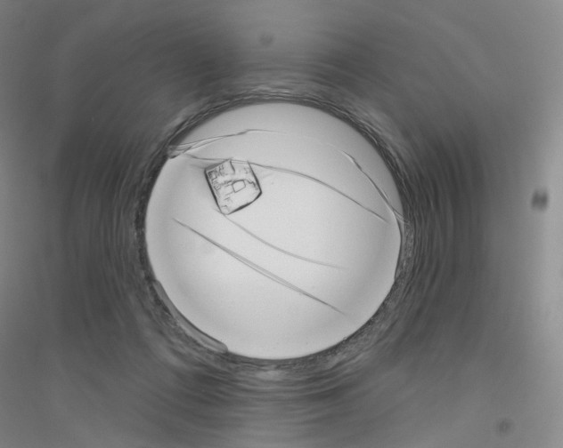 X0000116810312201001291607