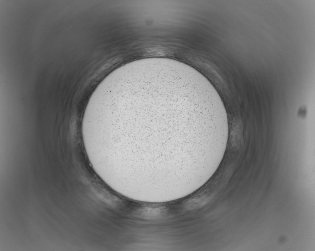 X0000116810314201001291607