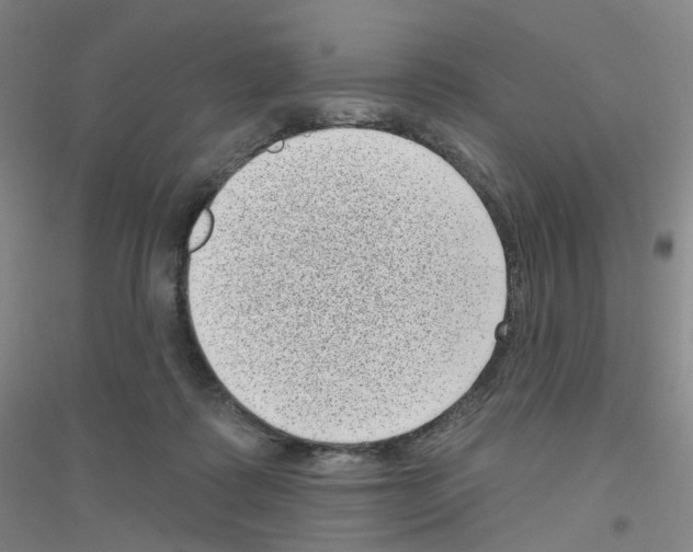 X0000116810315201001291607