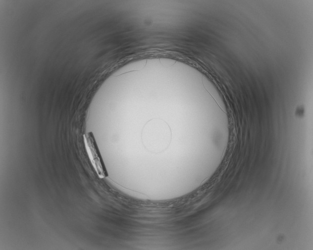 X0000116810316201001291607