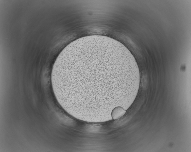 X0000116810318201001291606