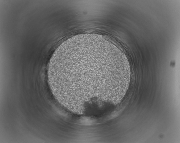 X0000116810319201001291606