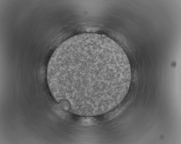 X0000116810321201001291606