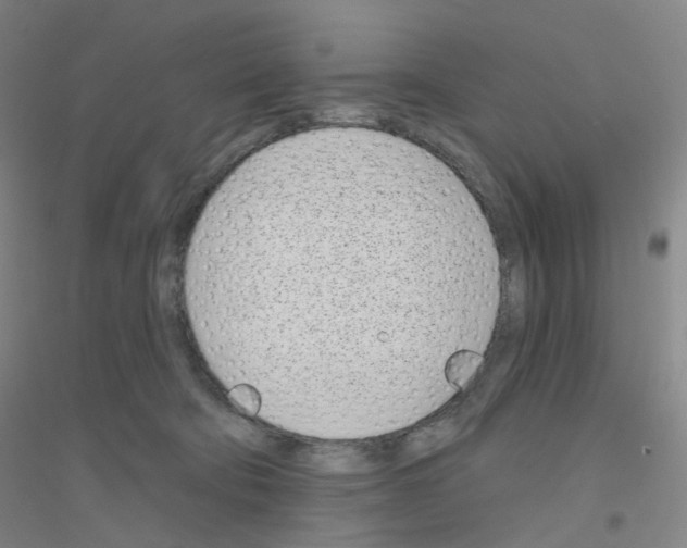 X0000116810322201001291606