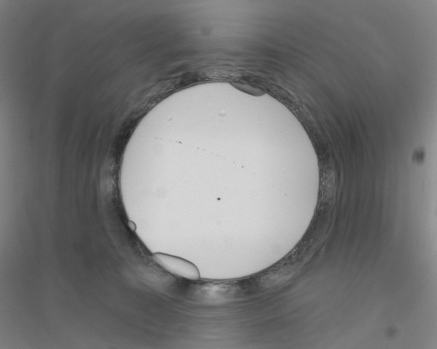 X0000116810323201001291606
