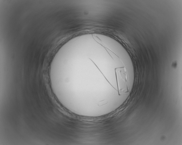 X0000116810325201001291606