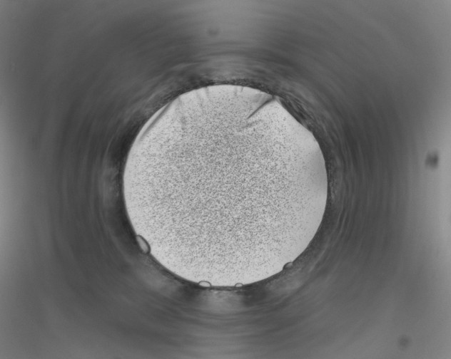 X0000116810327201001291606
